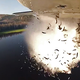 Illustration for article titled Holy Carp! Watch These Planes Bomb Lakes With Live Fish